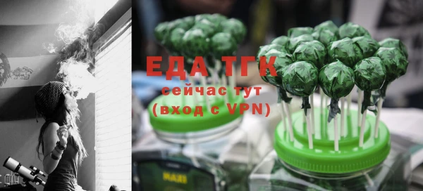 индика Кинешма