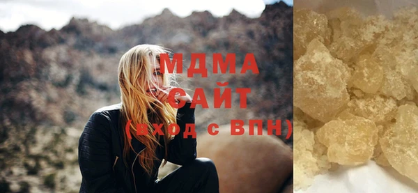индика Кинешма