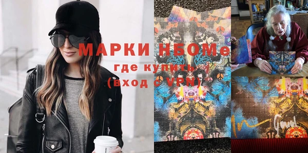 индика Кинешма