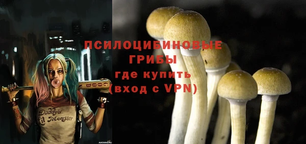 индика Кинешма