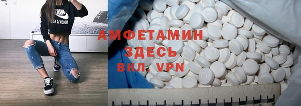индика Кинешма