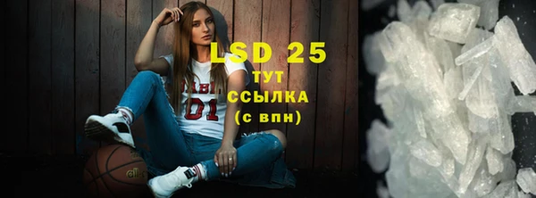 прущие грибы Козловка