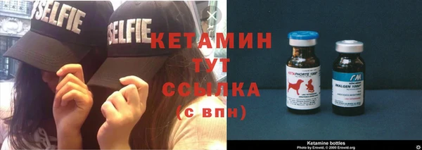 прущие грибы Козловка