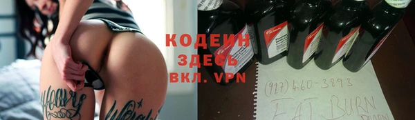 индика Кинешма