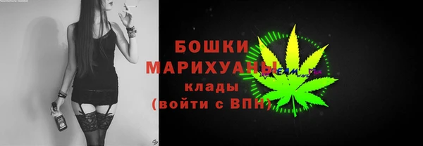 индика Кинешма