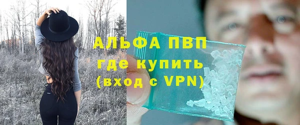 индика Кинешма