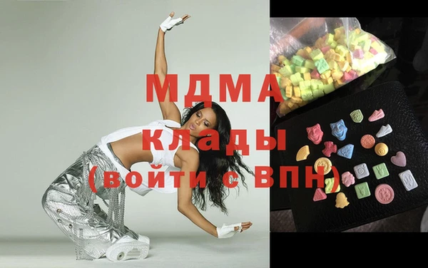 индика Кинешма