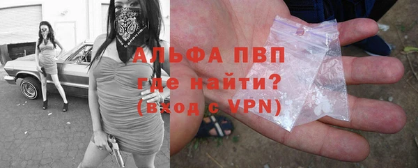 индика Кинешма