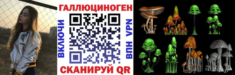 Купить где  Новомичуринск  Галлюциногенные грибы Psilocybe 